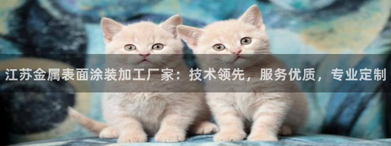 美高梅文旅