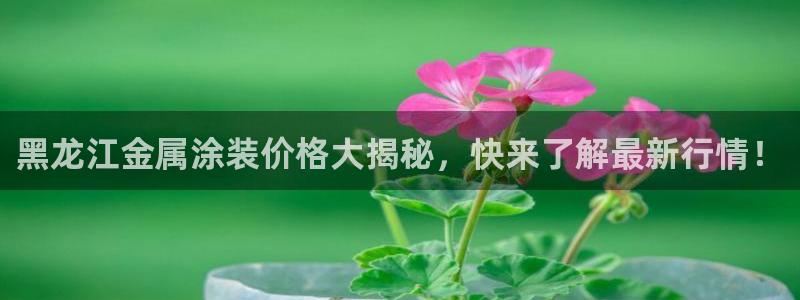 美高梅和永利是一家吗