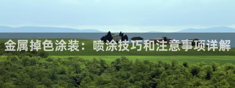 为什么我的美高梅网页上不了