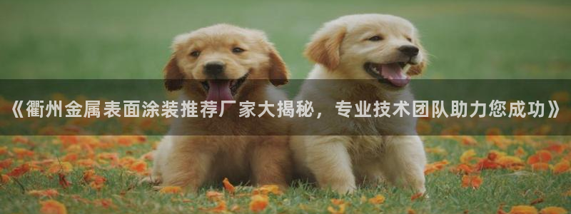 美高梅筹码颜色对应面值