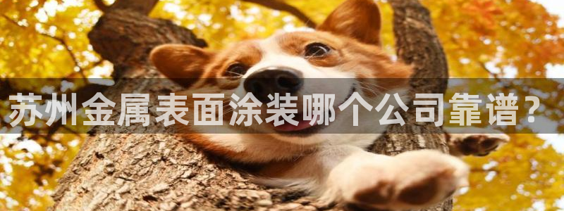 美高梅平台还存在吗