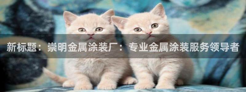 美高梅何超琼多少股份