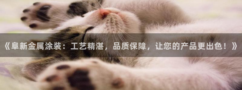 美高梅总部在哪里
