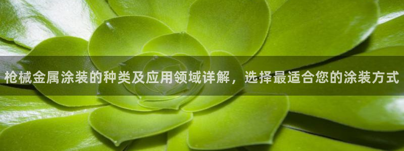 美高梅属于什么档次的品牌