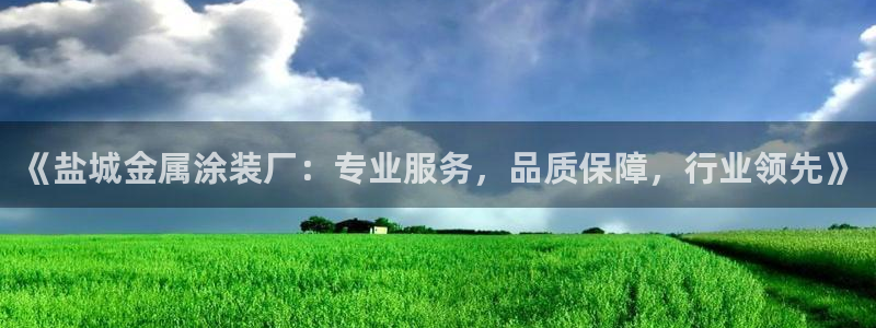 美狮美高梅酒店黑卡