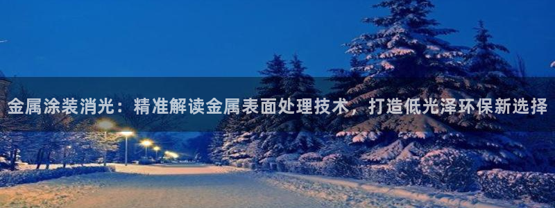 美高梅狮王会员卡