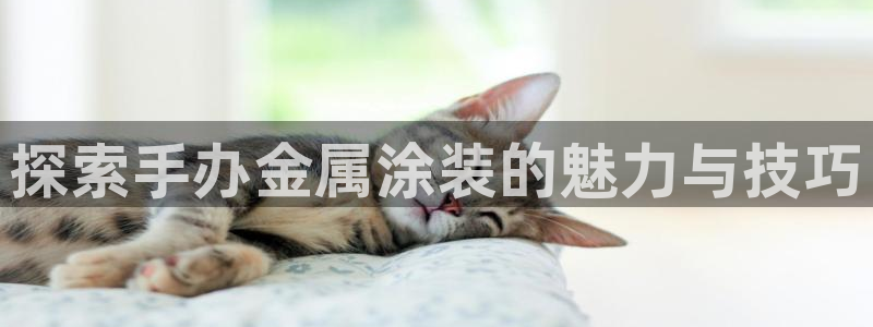 美高梅网络科技有限公司