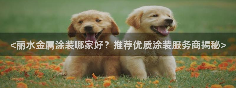 美高梅大酒店招聘