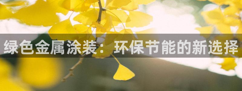 美狮美高梅酒店积分换房