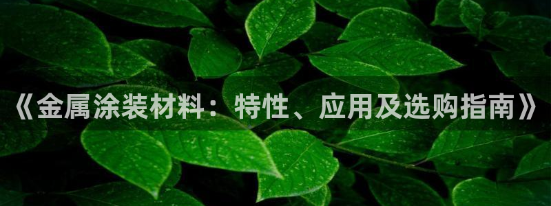 美高梅属于什么档次