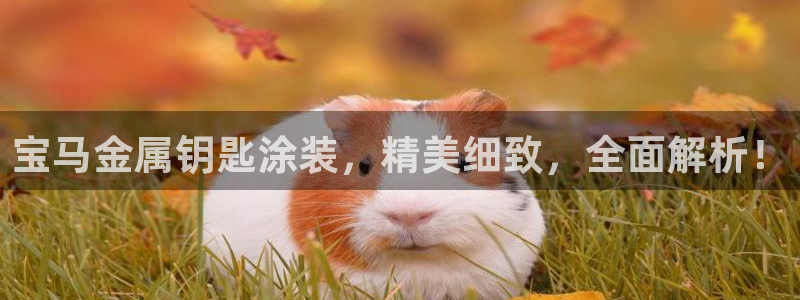 美高梅是做什么的澳门何超琼