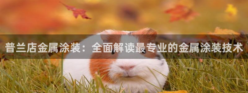 美高梅附近有哪些酒店