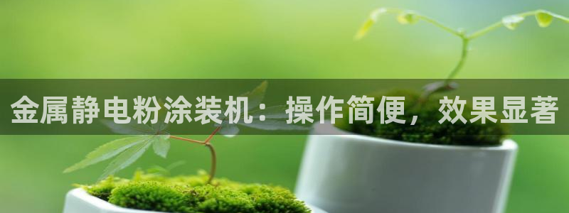 美高梅天幕广场表演