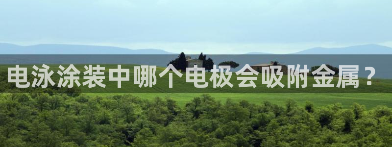 美狮美高梅酒店黑卡400餐卷