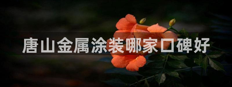 美高梅会员卡有啥用