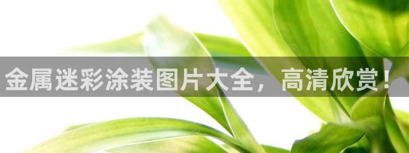 美高梅充值多少钱能提现