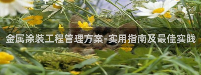 美高梅堵场