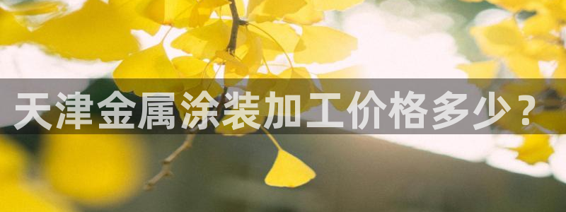 美高梅酒店层高