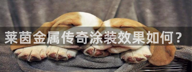 美高梅最低赌注是多少