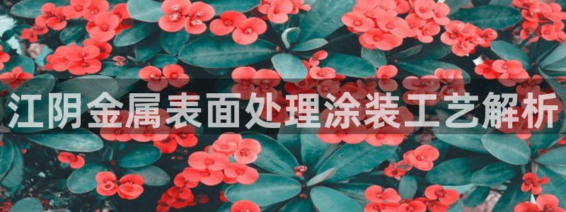 美高梅酒店官网 三亚