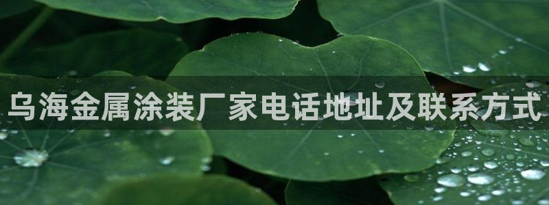 美高梅酒店何超琼