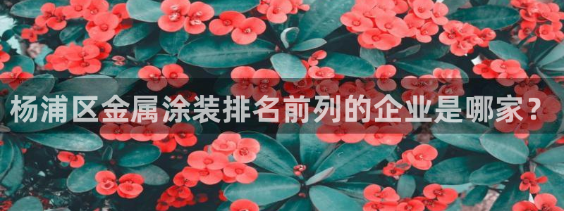 美高梅大酒店招聘信息最新