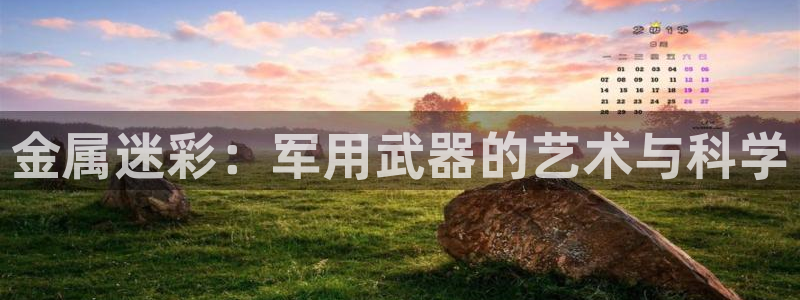 美狮美高梅酒店黑卡
