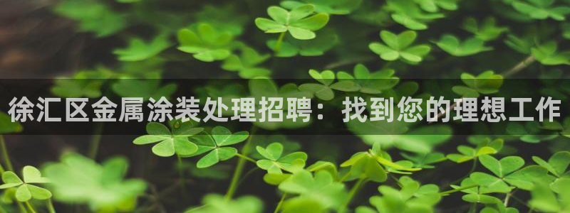 美高梅老板何超琼