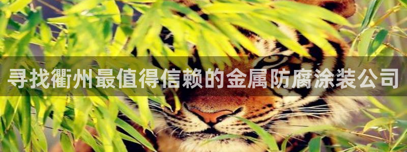 美高梅大酒店几星级