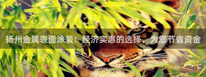 美高梅线上客服