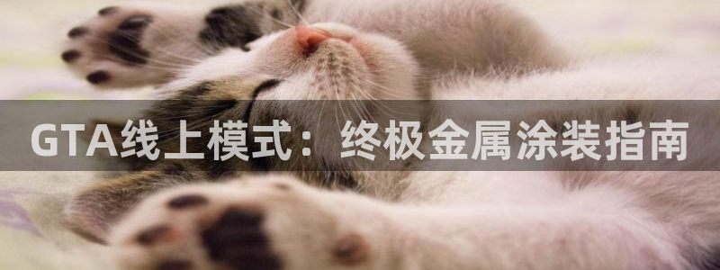 美高梅酒店认养的大熊猫
