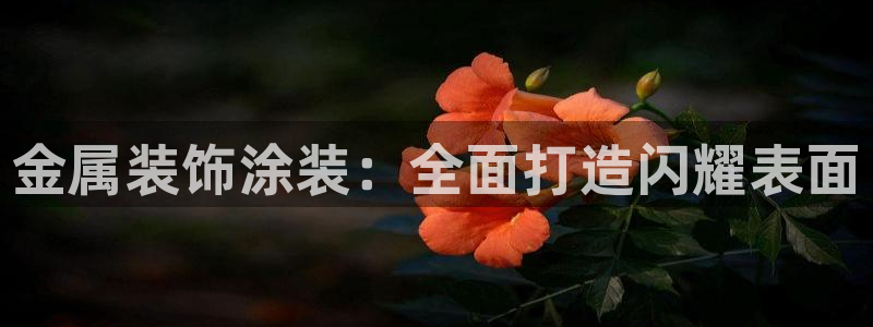 美高梅公司简介怎么写