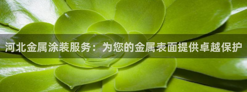 美高梅酒店何超琼