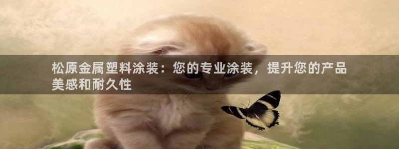 美高梅会员卡等级图片