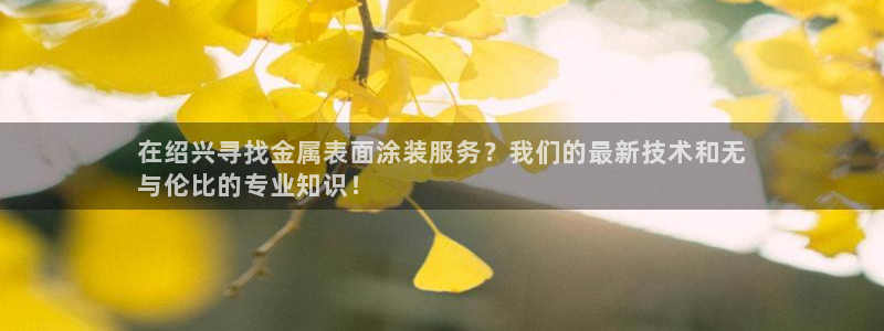 美高梅旗下