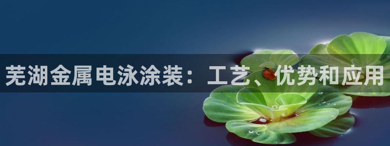美高梅会员卡等级有效期多久啊