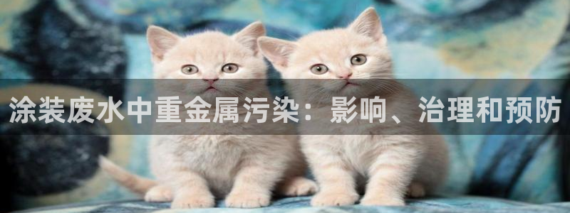 美高梅国际酒店集团十大股东