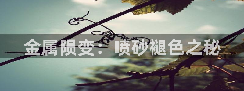 美高梅净利润
