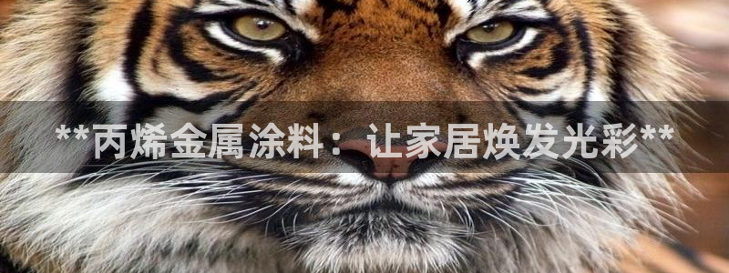 美狮美高梅酒店高度