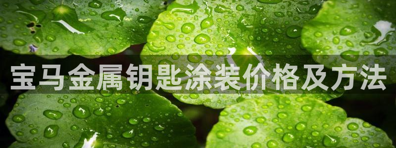 美高梅空气炸锅怎么样好用吗