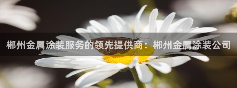 美高梅是上市公司吗