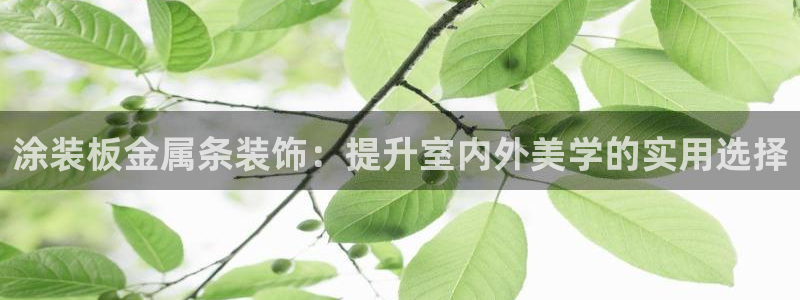 美高梅酒店免费奶茶是真的吗