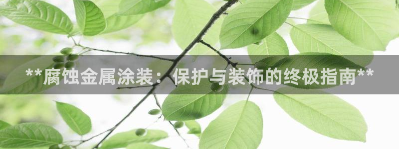 美高梅酒店自助