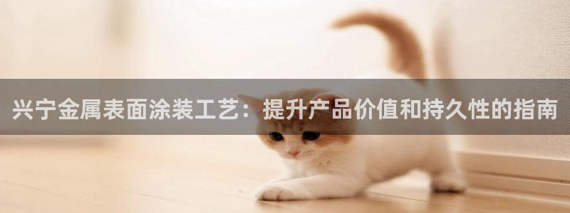 美高梅股票中国