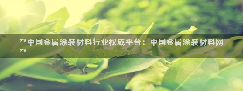 美高梅英文