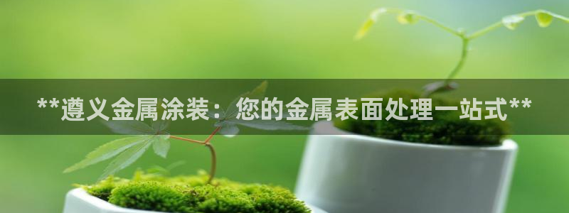 美高梅股票代码02282