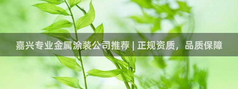 美高梅酒店在哪个区