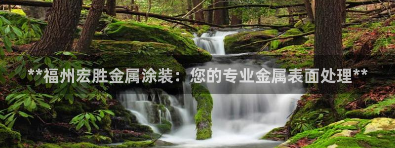 美高梅度假酒店会员卡