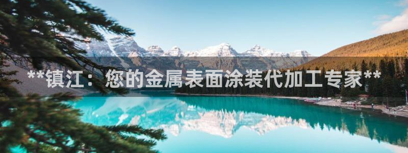 美高梅集团公司
