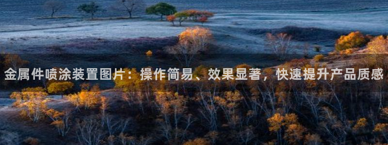 美高梅酒店空中海洋秀